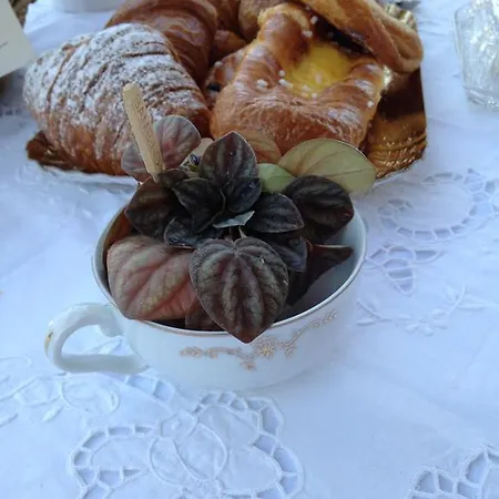 Le Vecchie Mura Bed & Breakfast Figline Valdarno
