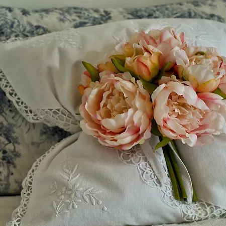 Bed & Breakfast Le Vecchie Mura Homestay Figline Valdarno